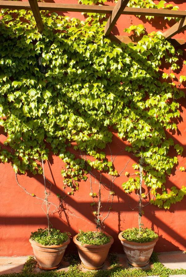 Casa Rural Con Piscina Privada El Roble Moya  Exterior photo